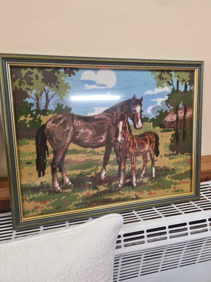 Kate - will be a present for a horse lover